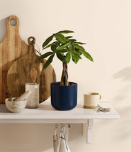 Load image into Gallery viewer, Twilight Blue