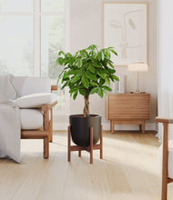 Load image into Gallery viewer, Stone Black stand:walnut