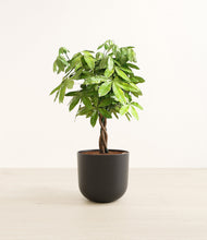 Load image into Gallery viewer, Stone Black*****Profile