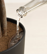 Load image into Gallery viewer, Stone Black stand:all