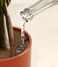 Load image into Gallery viewer, Glossy Red stand:all