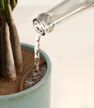 Load image into Gallery viewer, Reactive Aqua stand:all