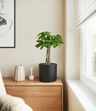 Load image into Gallery viewer, Black