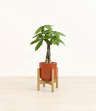 Load image into Gallery viewer, Glossy Red stand:bamboo