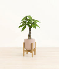 Load image into Gallery viewer, Sandy Pink stand:bamboo