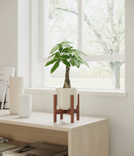 Load image into Gallery viewer, Cotton White stand:walnut