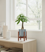 Load image into Gallery viewer, Misty Blue stand:walnut
