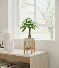 Load image into Gallery viewer, Sage Green stand:bamboo