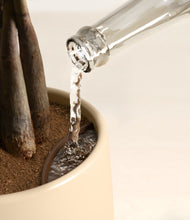 Load image into Gallery viewer, Almond Green stand:all