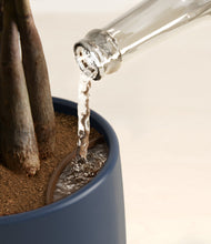 Load image into Gallery viewer, Mountain Top