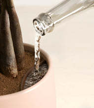 Load image into Gallery viewer, Sandy stand:all