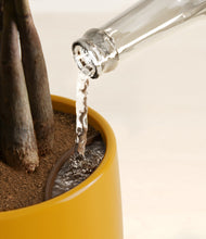 Load image into Gallery viewer, Evening Sky