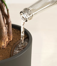 Load image into Gallery viewer, Dark Olive stand:all