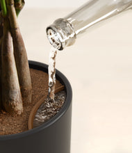 Load image into Gallery viewer, Midnight Snow