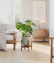 Load image into Gallery viewer, Sage Green stand:walnut