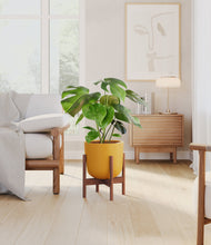 Load image into Gallery viewer, Sunset Orange stand:walnut