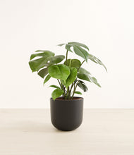 Load image into Gallery viewer, Stone Black*****Profile