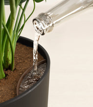 Load image into Gallery viewer, Stone Black stand:all