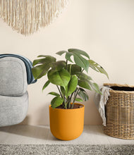 Load image into Gallery viewer, Sunset Orange