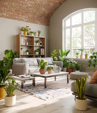 Load image into Gallery viewer, Evening Sky