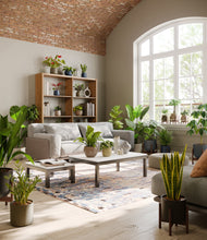 Load image into Gallery viewer, Winding River stand:nine_stands