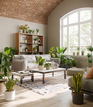 Load image into Gallery viewer, Countryside