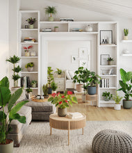 Load image into Gallery viewer, Countryside