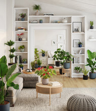 Load image into Gallery viewer, Eclipse