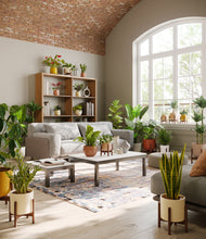 Load image into Gallery viewer, Evening Sky stand:fourteen_stands