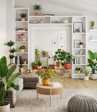 Load image into Gallery viewer, Evening Sky