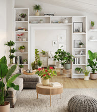 Load image into Gallery viewer, Frosted Dawn