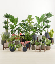 Load image into Gallery viewer, Winding River stand:nine_stands