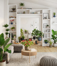 Load image into Gallery viewer, Winding River