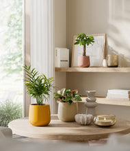 Load image into Gallery viewer, Evening Sky