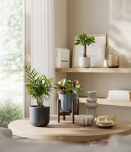 Load image into Gallery viewer, Pebble Shore stand:one_stand