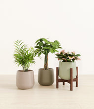 Load image into Gallery viewer, Earthy stand:one_stand