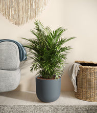 Load image into Gallery viewer, Iron Gray