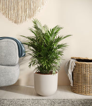 Load image into Gallery viewer, Natural Bamboo