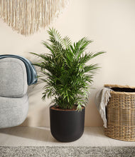 Load image into Gallery viewer, Stone Black