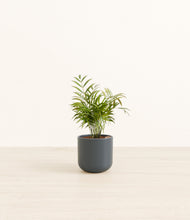 Load image into Gallery viewer, Iron Gray*****Profile