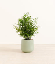 Load image into Gallery viewer, Turquoise*****Profile