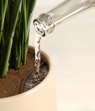 Load image into Gallery viewer, Almond Green stand:all