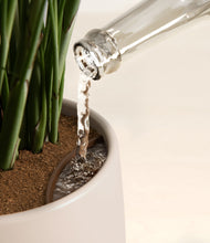 Load image into Gallery viewer, Eternal Gray stand:all