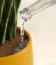 Load image into Gallery viewer, Mustard stand:all