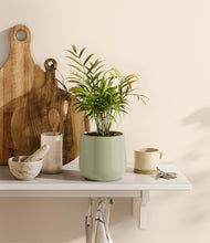 Load image into Gallery viewer, Turquoise