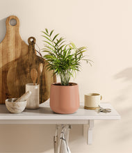 Load image into Gallery viewer, Calm Rose