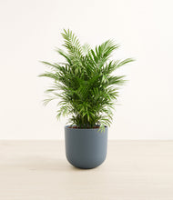 Load image into Gallery viewer, Iron Gray*****Profile