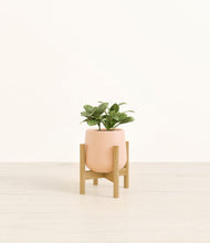 Load image into Gallery viewer, Gentle Pink stand:bamboo