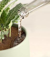 Load image into Gallery viewer, Turquoise stand:all