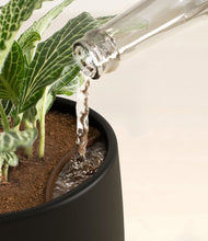 Load image into Gallery viewer, Black stand:all